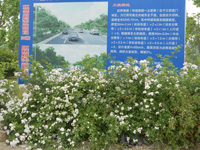 虹橋南路周邊地塊舊城改造項目