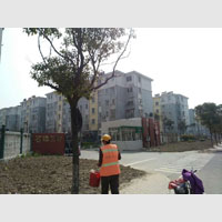 石牌三村三期三标段安置房工程