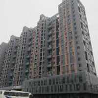 铂领公馆景观绿化工程